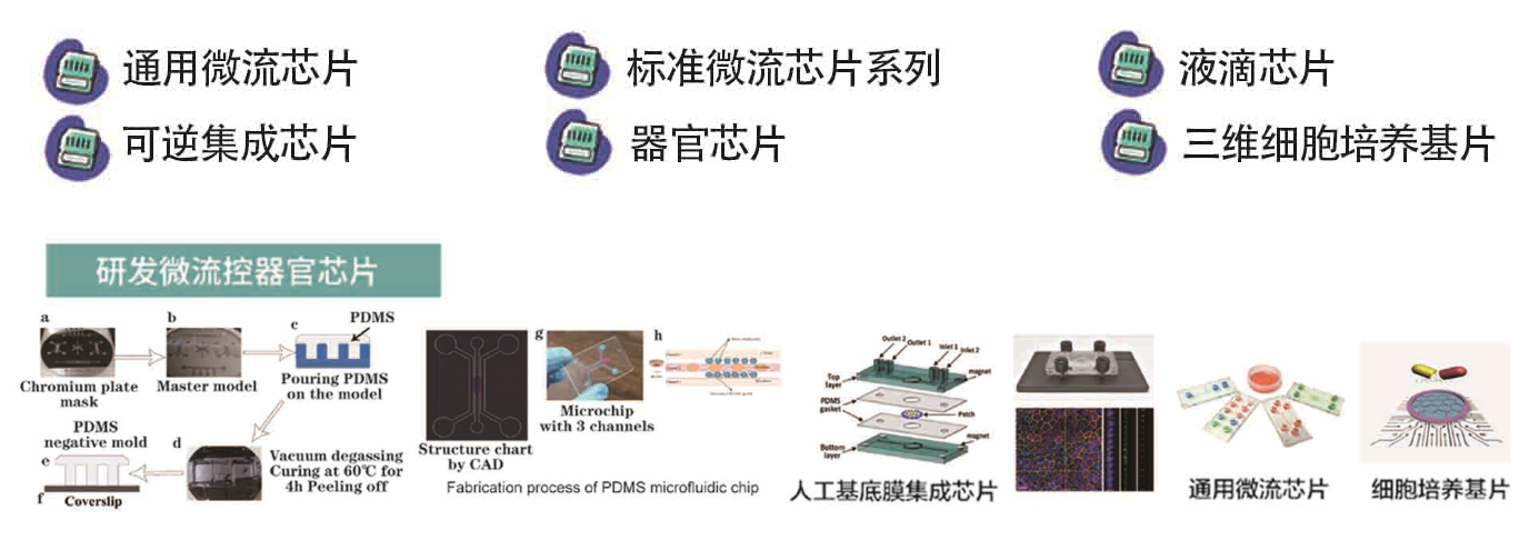 生物芯片拼圖.jpg